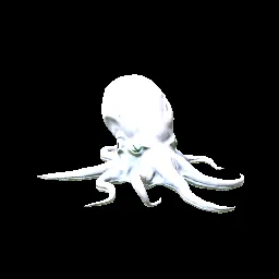 Octopus | Titanium White