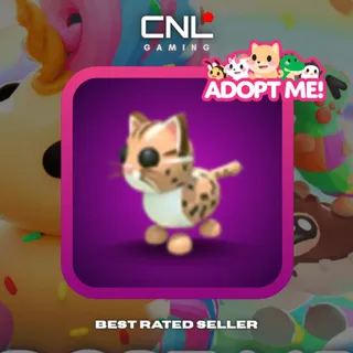 1x Leopard Cat - N [Adopt Me]