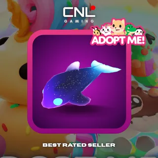 1x Glormy Dolphin - N [Adopt Me]