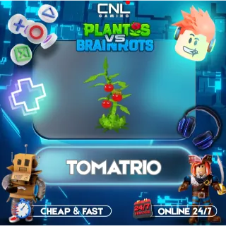 x2 tomatrio 200k - 300k dmg