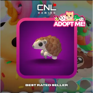 2x Pangolin - M [Adopt Me]