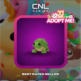 1x Turtle - FR [Adopt Me]