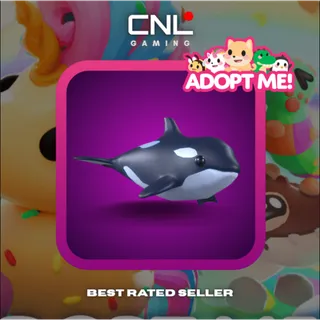 3x Orca - N [Adopt Me]