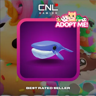 3x Blue Whale - N [Adopt Me]