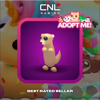 1x Meerkat - R [Adopt Me]