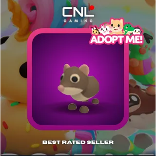 1x Shrew - Normal [Adopt Me]