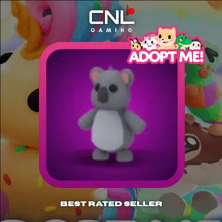 1x Koala - NFR [Adopt Me]