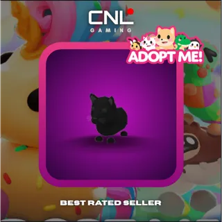 1x Black Panther - R [Adopt Me]