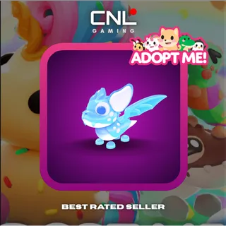 1x Arctic Dusk Dragon - R [Adopt Me]