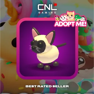 1x Siamese Cat - R [Adopt Me]
