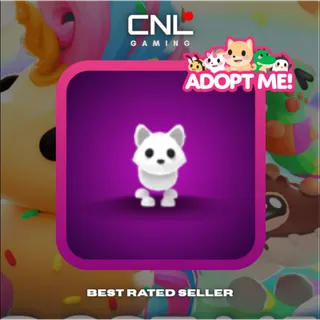 1x Arctic Fox - R [Adopt Me]