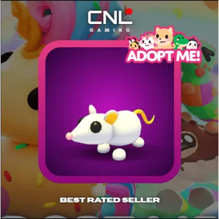 1x Golden Rat - Normal [Adopt Me]