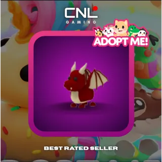 1x Dragon - M [Adopt Me]