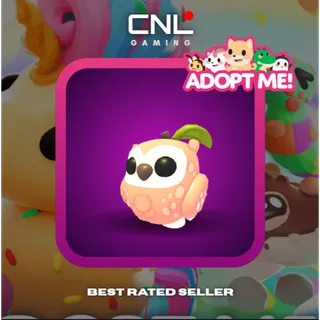 2x Peach Owl - Normal [Adopt Me]