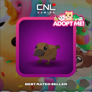 1x Platypus - Normal [Adopt Me]