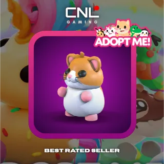 6x Hamster - Normal [Adopt Me]