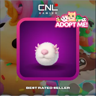 1x Spring Bunny Nose - Normal [Adopt Me]