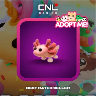 1x Axolotl - NFR [Adopt Me]
