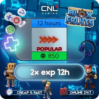 2x exp 12h [850R] - Blox Fruits