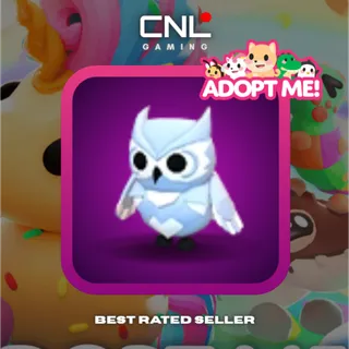 3x Snow Owl - R [Adopt Me]