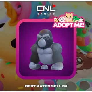 1x Silverback Gorilla - Normal [Adopt Me]