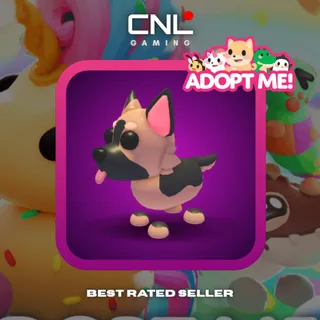 1x German Shepherd - MFR [Adopt Me]