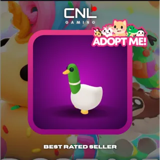 2x Silly Duck - Normal [Adopt Me]