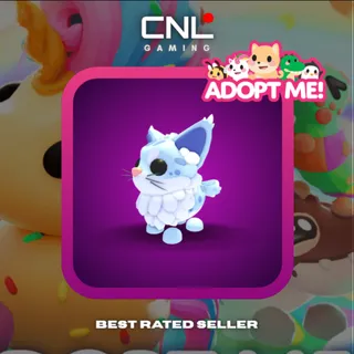 2x Maine Coon - N [Adopt Me]