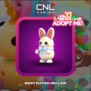 3x White Choccybunny - M [Adopt Me]