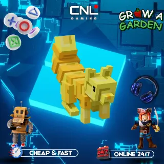 x10 fortune squirrel