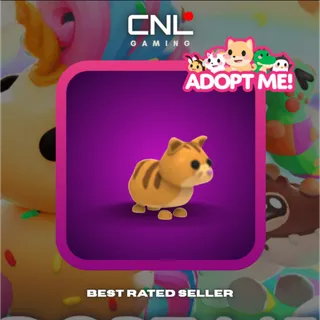 1x Ginger Cat - M [Adopt Me]