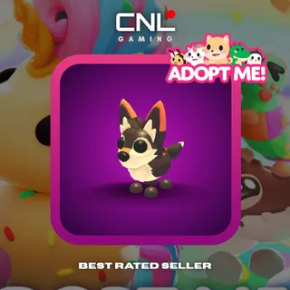 3x Mexican Wolf - M [Adopt Me]