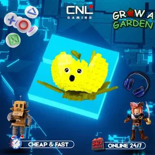 X4 King Limone 100K+ dmg