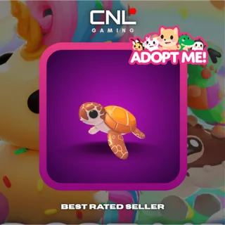 1x Sea Turtle - MFR [Adopt Me]