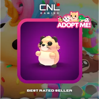 4x Muskrat - M [Adopt Me]