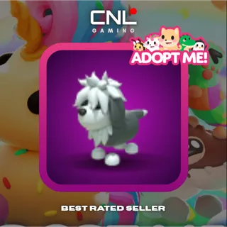 2x English Sheepdog - Normal [Adopt Me]