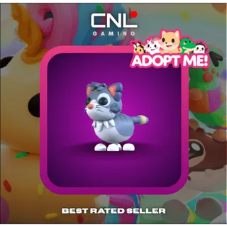 1x Alley Cat - Normal [Adopt Me]