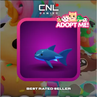 2x Shark - R [Adopt Me]