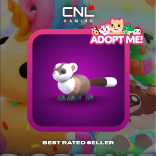 2x Black-Footed Ferret - M [Adopt Me