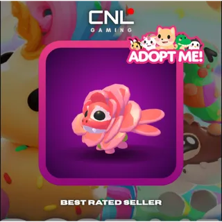 1x Rose Dragon - FR [Adopt Me]