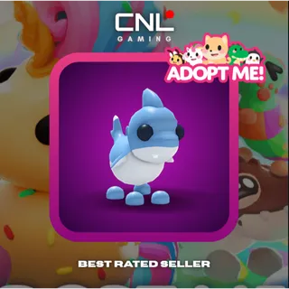 1x Shark Puppy - Normal [Adopt Me]