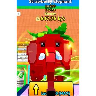 🍓STRAWBERRY ELEPHANT🍓(Money) | DIVINE | lv 200
