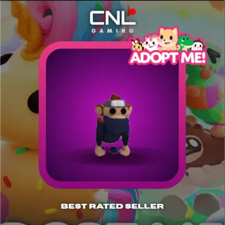 1x Ninja Monkey - R [Adopt Me]