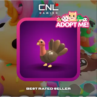1x Turkey - Normal [Adopt Me]