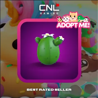 2x Desert Egg - Normal [Adopt Me]