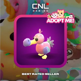 2x Dodo - R [Adopt Me]