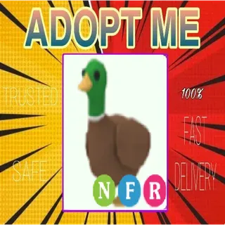 NFR Drake