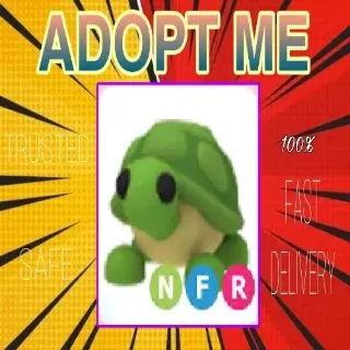 NFR Turtle