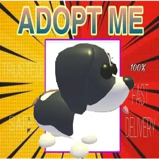  MFR BLACK SPRINGER SPANIEL
