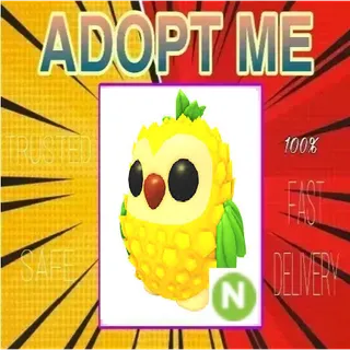 NFR Pineapple Owl
